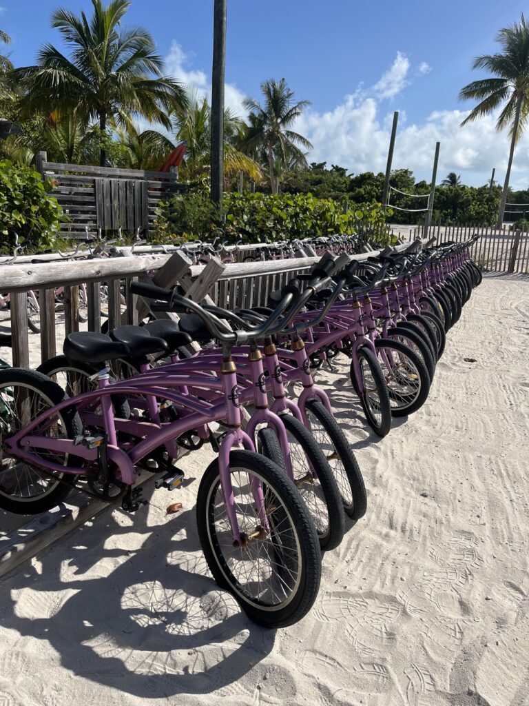 bicicletas moradas estacionadas en la arena. Puedes rentarlas para recorrer la isla. Es una de las actividades en Castaway Cay