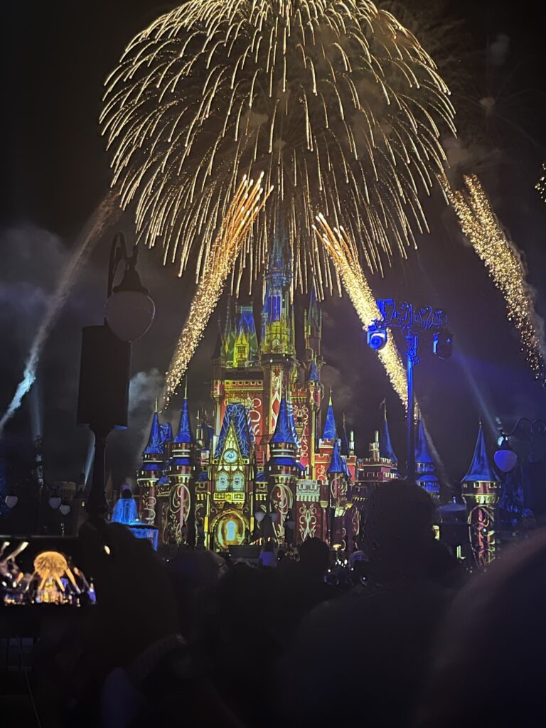 Vista del show nocturno de Magic Kingdom desde la zona preferencial de la Fireworks Dessert Party